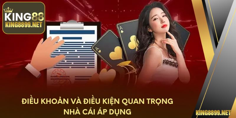 Điều khoản và điều kiện quan trọng nhà cái áp dụng