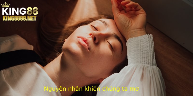 Giấc mơ là gì và nguyên nhân nào khiến chúng ta mơ?