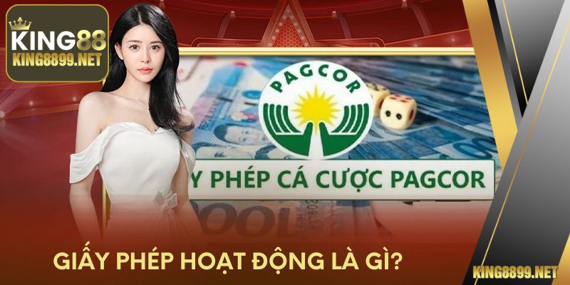 Giấy phép hoạt động là gì?