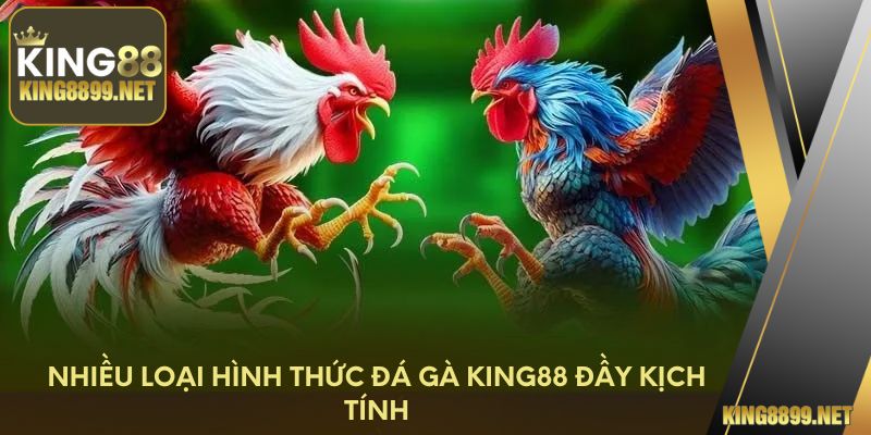 Nhiều loại hình thức đá gà King88 đầy kịch tính